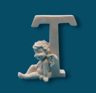 Silikonová forma - T