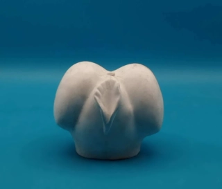 Silikonová forma - Dámská intimní partie